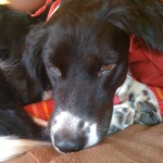 iphone09-2008-128