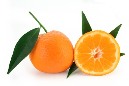 Mon voisin du dessus... Mandarine