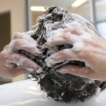 shampooing des cheveux