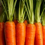 carottes