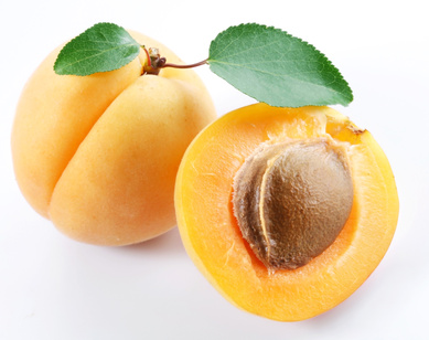 Apricot; objects on white background