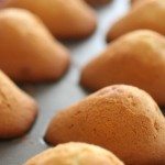 madeleines