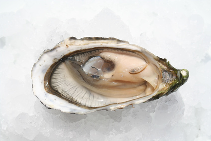 huitre
