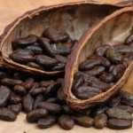 Fabriquer un baume de massage au cacao
