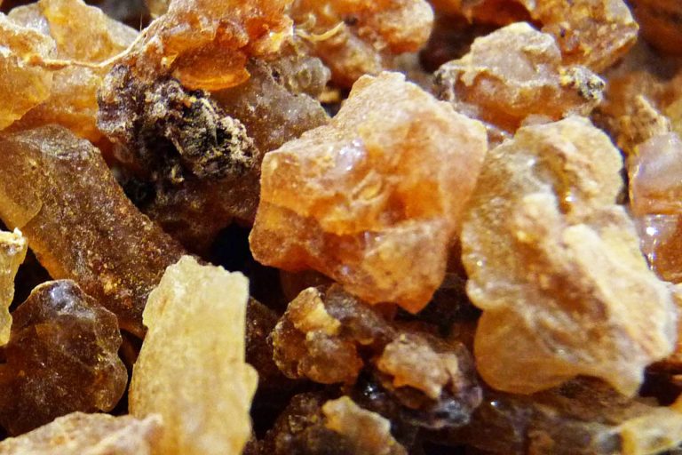 Huile essentielle de myrrhe – Guide d'aromathérapie et de naturopathie