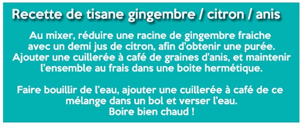 Recette tisane gingembre citron anis 600 x 250